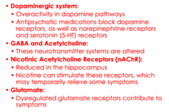 <p>-overactive dopamine pathway</p><p>-too little GABA and acetylcholine </p><p>-NaChR reduced (nicotine can help relieve) </p><p>-low glutamate</p>