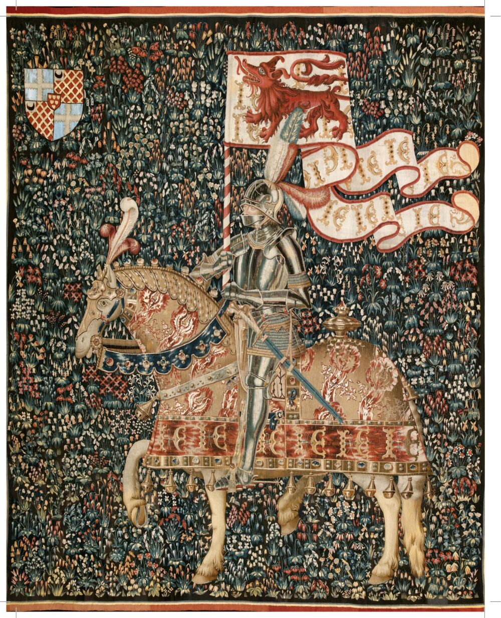 term image