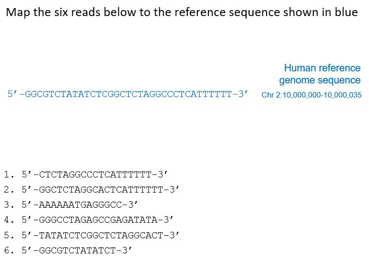 <p><span>The six sequence reads listed below were generated using sequencing by synthesis. The blue reference sequence was obtained from the Human Genome Browser at position Chr 2: 10,000,000-10,000,035.</span><br><span>By convention only one strand of DNA is given although two strands exist.</span></p><p>Sequence read 3 was synthesized by sequencing which strand of DNA? </p><p>5' --> 3' strand</p><p>3' --> 5' strand </p><p>neither 5' --> 3' and 3' --> 5' strands</p><p>both 5' --> 3' and 3' --> 5' strands</p>