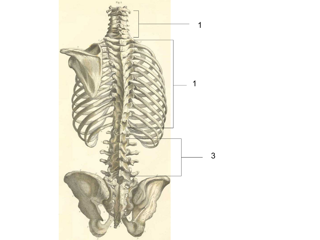 <p>what is #1 pointing at?</p>