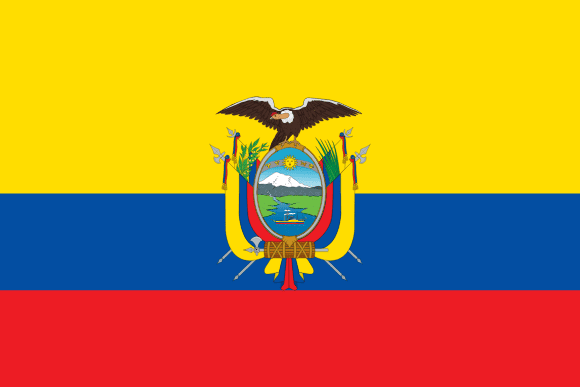 <p> </p>