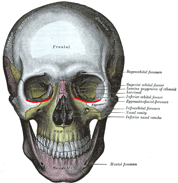 <p>“feature” “eye bags”</p>