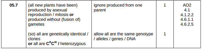 <ul><li><p>Produced by asexual reproduction</p></li><li><p>So they are all genetically identical</p></li></ul><p></p>