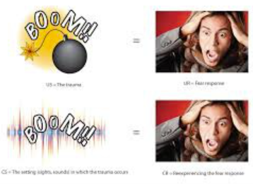 <p>Stimulus generalization (in classical conditioning)</p>