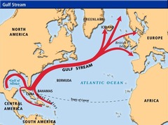 <p>The Gulf Stream transports tropical water from the Gulf of Mexico, raising temperatures to around 80 °F.</p>
