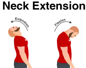 <p>Anterior neck:</p>