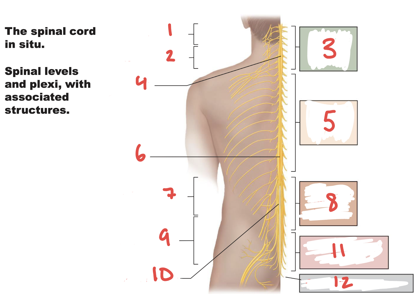 <p>What is number 8?</p>