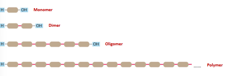 <p>A large molecule made up of similar or identical subunits called monomers</p><p>Monomer - A small molecule, two or more of which can be combined to form oligomers (consisting of a few monomers) or polymers (consisting of many monomers).</p><p>linked by dehydration or polmerization</p>