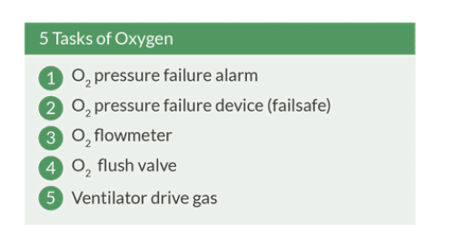 <p>What are the five tasks of oxygen?</p>