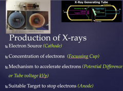 <p>- Electron Source (Cathode)</p><p>- Concentration of electrons (Focussing Cup)</p><p>- Mechanism to accelerate electrons (Potential Difference or Tube voltage kVp)</p><p>- Suitable Target to stop electrons (Anode)</p>
