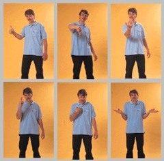 <p>The way the subject is positioned, e.g., the body language may be happy, or aggressive.</p>