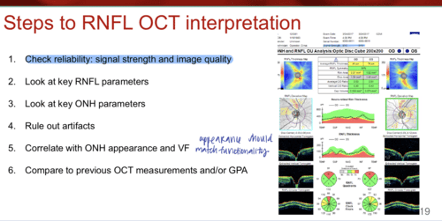 <p>What are the steps to RNFL OCT Interpretation?</p>