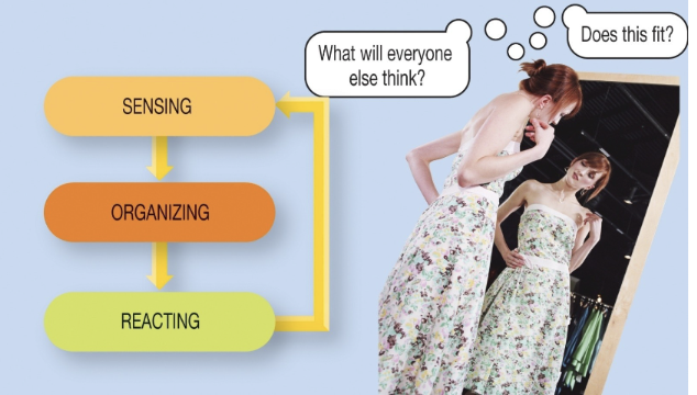 <p>How an individual gathers, processes, and interprets information from the environment</p><ul><li><p>Perception represents a <strong>subjective reality</strong></p></li></ul><p></p>