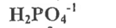<p>2 Hydrogen, 1 Phosphorous, 4 oxygen, -1 charge</p>