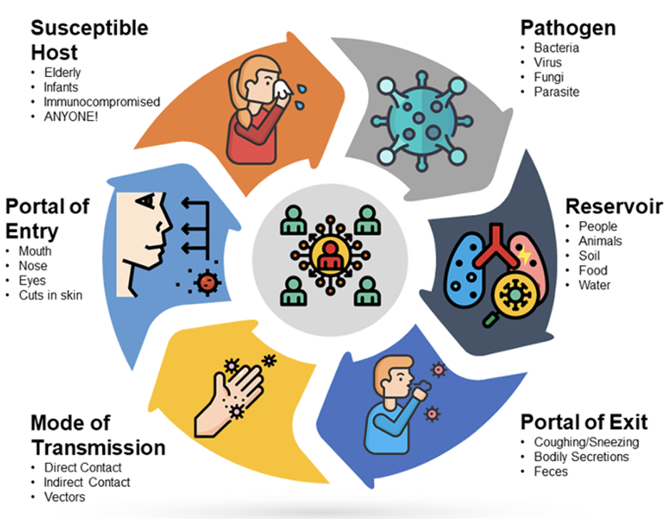 <ul><li><p>The chain of infection is a set of 6 intertwined links that allow for communicable (infectious) diseases to spread</p></li><li><p>Each link of the chain is required to effectively transmit infectious illness</p></li><li><p>Breaking any one of the 6 links can slow the spread of infectious disease</p></li></ul><p></p>
