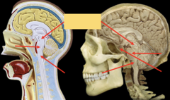<p>What is the highlighted part pointing to?</p>