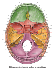 <p>What is the red arrow pointing to?</p>