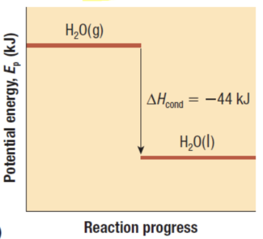 <p>Exothermic or Endothermic?</p>