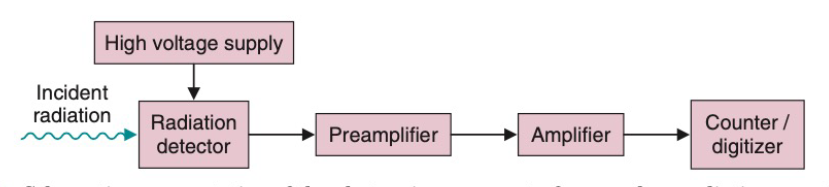 <p>Voltage supply, detector, pre-amp, amplifier, counter</p>
