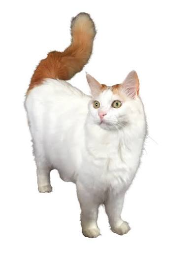 <p></p>