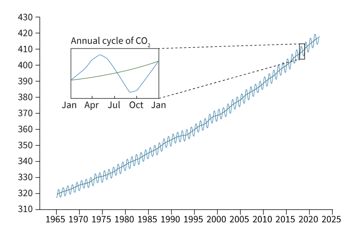 <p><span style="background-color: transparent;"><strong>The Keeling Curve shows the concentration of CO<sub>2</sub> in atmosphere over time</strong></span></p><ul><li><p><span style="background-color: transparent;"><u>Annual fluctuations</u>:&nbsp;</span></p></li></ul><ul><li><p><span style="background-color: transparent;"><strong>CO<sub>2</sub> increases </strong>between Oct and May (<strong>dormant season, winter</strong> where photosynthesis decreases)</span></p></li><li><p><span style="background-color: transparent;"><strong>CO<sub>2</sub> falls</strong> from May to Oct (<strong>growing season </strong>where photosynthesis increases)</span></p></li></ul><p><br></p><ul><li><p><span style="background-color: transparent;"><u>Long- term trend</u>:</span></p></li><li><p><span style="background-color: transparent;">Although there are annual variations, by the end of each year, the CO<sub>2</sub> concentration is higher than beginning of each year, resulting in an upward trend.</span></p></li></ul><p></p>