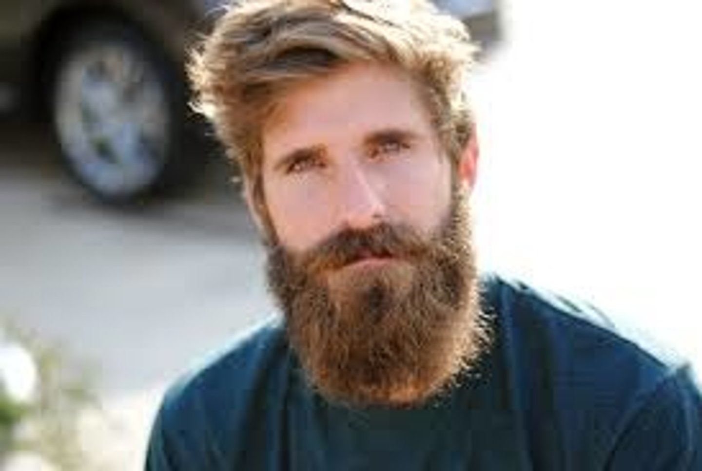 <p>the beard</p>