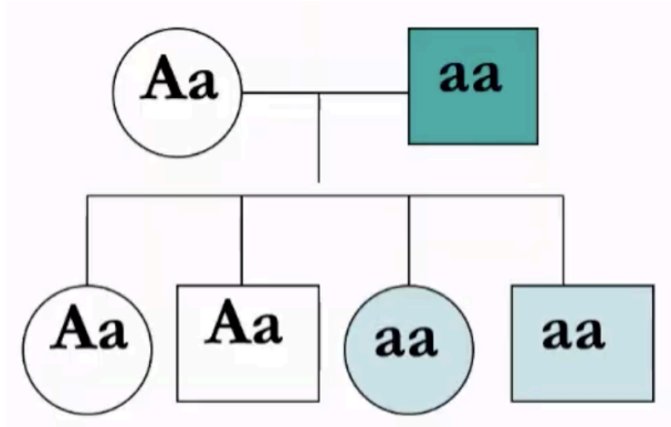 <p>Given this pedigree, what is the pattern of inheritance for this disorder?</p>