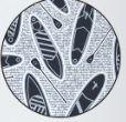 <p>Surf Collection</p>