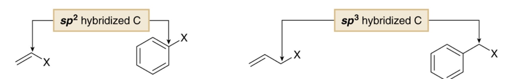 <p>Match the types of halides: benzylic, aryl, allyic, vinyl</p>