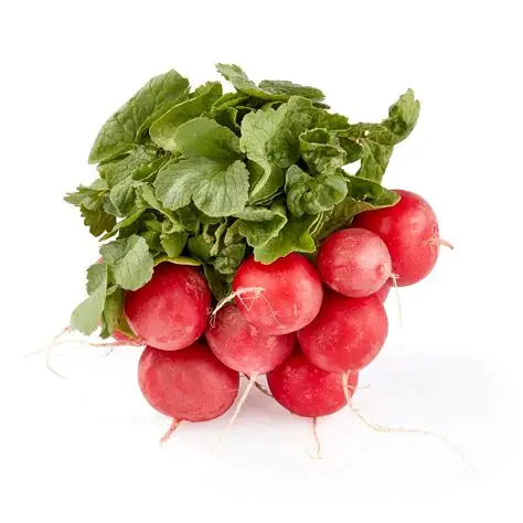 <p>Bag of Radishes</p>