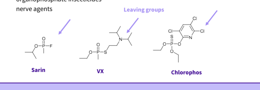 <p><span>Form a covalent bond – irreversible inhibitors</span><br><span>Include:</span><br><span>organophosphate insecticides</span><br><span>nerve agents</span></p>