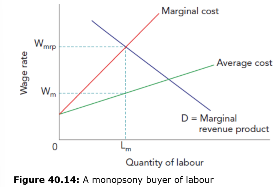 <p>The monopsonist hires workers by equating the marginal cost of employing a worker with the marginal revenue product from this employment (MC = MRP) - This is the profit-maximising position. The wage paid (Wm) is below the wage if workers are paid the full value of their marginal revenue product (Wmrp), and employment is Lm.</p>