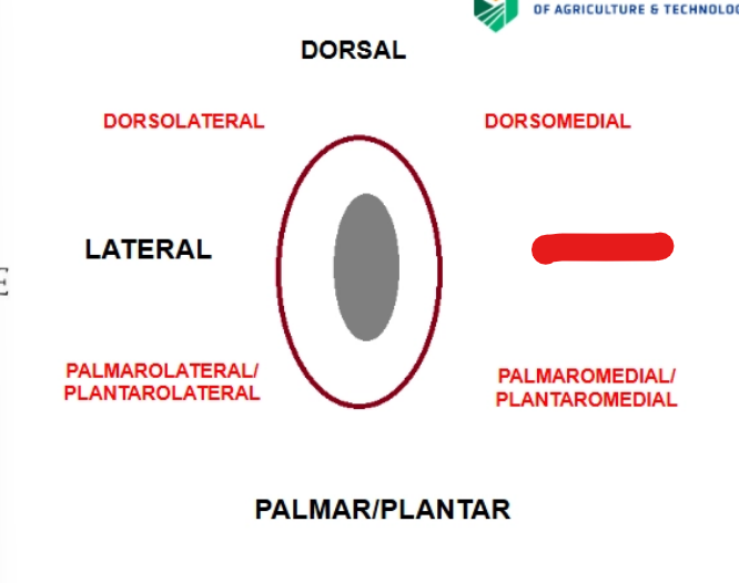<p>what is it</p>