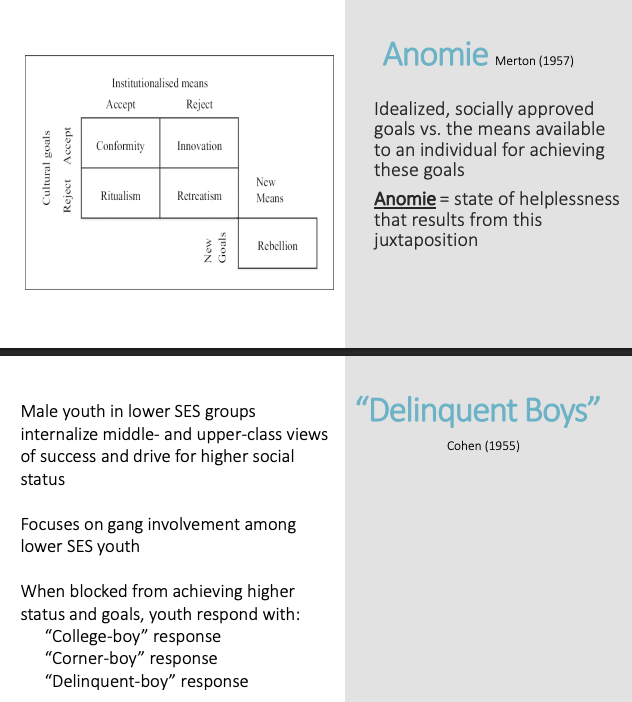 <p>Lower-SES male youth internalize mainstream success/status values. When they can’t achieve that status through approved ways, they experience frustration and often turn to <strong>gang involvement</strong> and alternative status routes.</p><ul><li><p>This theory posits that these youth create their own subculture—characterized by values that oppose mainstream society—where they seek respect and acceptance, ultimately leading to delinquent behavior as a form of rebellion against societal norms. </p></li></ul><p></p>