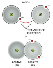 <p>Transfer electrons.</p>