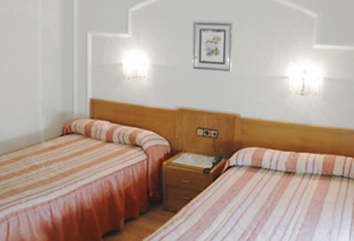 <p>the room</p>