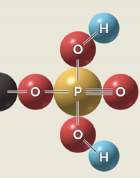<p>What is this functional group</p>