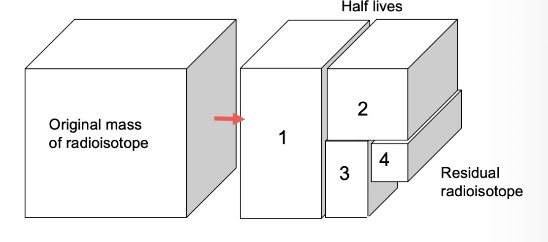 <ul><li><p><span>Isotopes are different forms of the same element.</span></p></li></ul><ul><li><p class="s44"><span>The element will have the same number of protons but a different number of neutrons in their nucleus.</span></p></li><li><p class="s18"><span>They have a different mass number (number of protons and neutrons in the nucleus).</span></p></li><li><p class="s44"><span>Unstable isotopes decay into more stable isotopes.</span></p></li><li><p class="s44"><span>Each isotope has a unique rate of decay described as its <strong>half life.</strong></span></p><p class="s79"><span>(i.e. The time taken for half of any given amount of the isotope to decay).</span></p><p class="s81">&nbsp;<span><strong>e.g. &nbsp; &nbsp;Carbon-14 &nbsp; &nbsp; &nbsp; &nbsp; &nbsp; 5 730 yr (half life) &nbsp; &nbsp; &nbsp; &nbsp; &nbsp; Nitrogen-14</strong></span></p></li></ul><p></p>