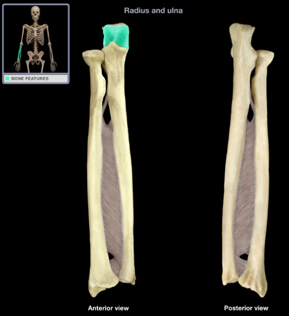 <p>What is the name of structure?</p>