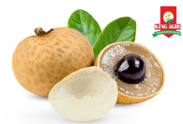 <p>Longan</p>