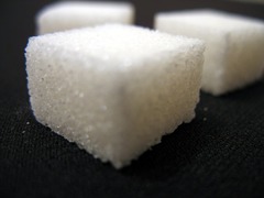 <p>Glucose is the plant's food.</p><p>sugary substance produced by a chemical reaction in leaves</p>