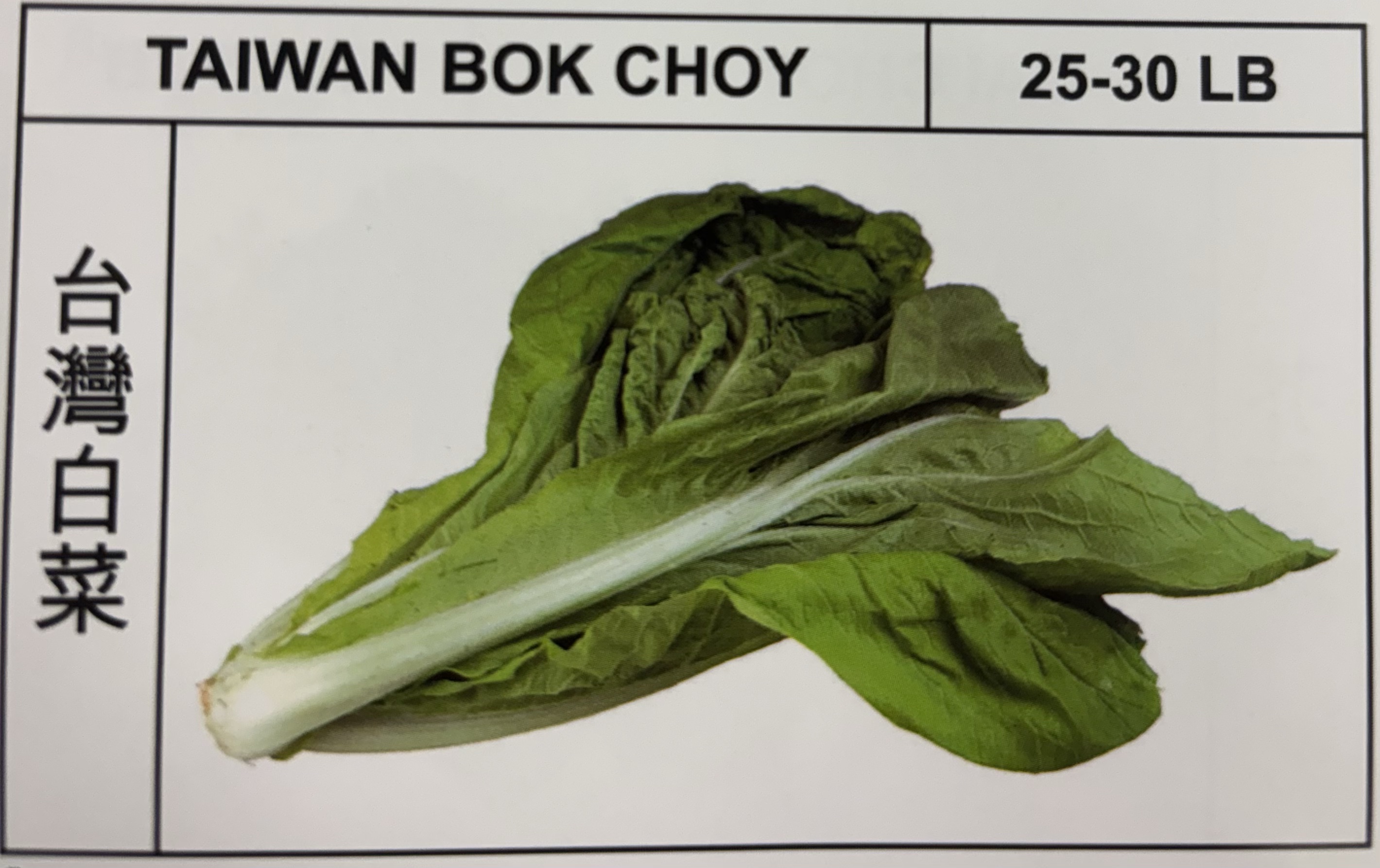 <p>TAIWAN BOK CHOY</p>