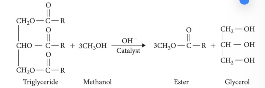 <ul><li><p><span>Diesel from crude oil consists of long hydrocarbon chains (C8-C20)</span></p></li><li><p><span>Biodiesel molecules are a similar length, but consist of the methyl or ethyl esters of fatty acids</span></p></li><li><p><span>It is produced by the transesterification of triglycerides (TGs)</span></p></li><li><p><span>Waste vegetable oil from restaurants is the most common source of TGs for the process</span></p></li><li><p><span>The reaction can be catalysed by a strong base or with an enzyme</span></p></li><li><p><span>The reaction of trigylcerides with methanol (the most common alcohol used) to produce Biodiesel in the form of fatty acid methyl esters (FAMEs) is shown below</span></p></li></ul><p></p>