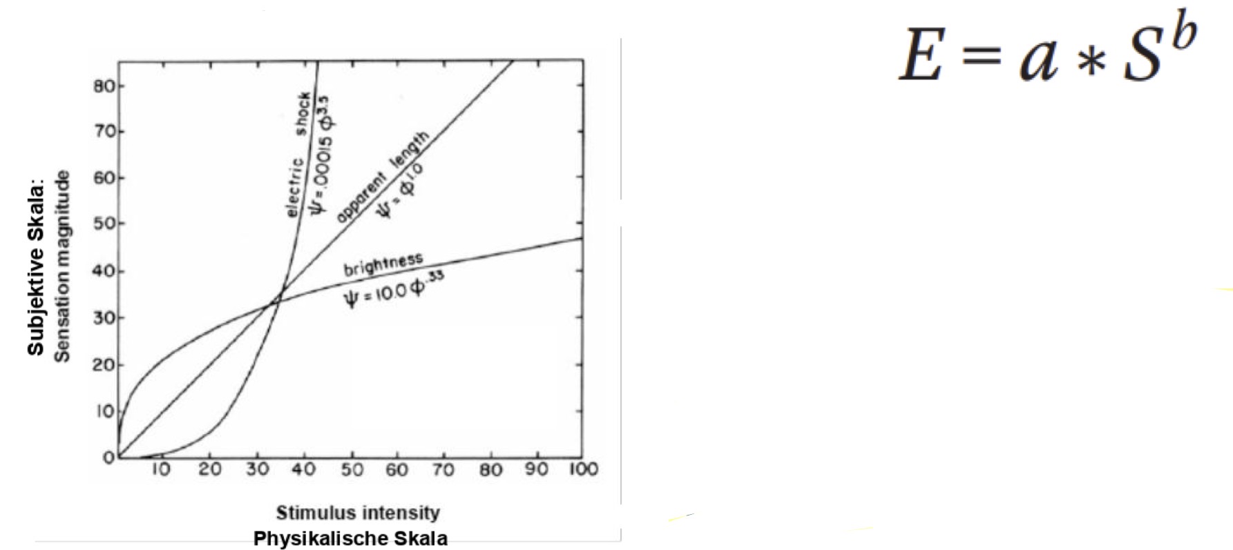 <ul><li><p>Nach Stevens wird der Zusammenhang zwischen physikalischem reiz und Empfindung durch eine Potenzfunktion abgebildet </p></li></ul><p></p><ul><li><p>E ist die Intensität der subjektivenEmpfindung</p></li><li><p>S ist die physikalische Reizintensität (relativ zur Reizintensität an der Absolutschwelle)</p></li><li><p>a ist eine Konstante (abhängig von der skalierten Maßeinheit)</p></li><li><p>b ist eine Konstante (abhängig von Sinnesmodalität)</p></li></ul><p></p><p>Weber-Fechnersches Gesetz ist nur ein Spezialfall des allgemeineren Steven‘schen Gesetzes:</p><p> b < 1 ist der Zusammenhang zwischen physikalischer Reizintensität und subjektiv wahrgenommener Reizintensität wie im Weber-Fechnerschen Gesetz beschrieben</p><p>Beispiel Helligkeitsempfindung: b = 0.33 Folgt dem Weber-Fechnerschen Gesetz</p><p></p><p>Weber-Fechnersches Gesetz ist nur ein Spezialfall des allgemeineren Steven‘schen Gesetzes:</p><p>Für b > 1 ist der Zusammenhang anders</p><p>Beispiel Empfindung eines elektrischen Schocks: b = 3.5</p><p>Hier steigt die subjektiv wahrgenommene Reizintensität überproportional zur physikalischen Reizintensität</p>