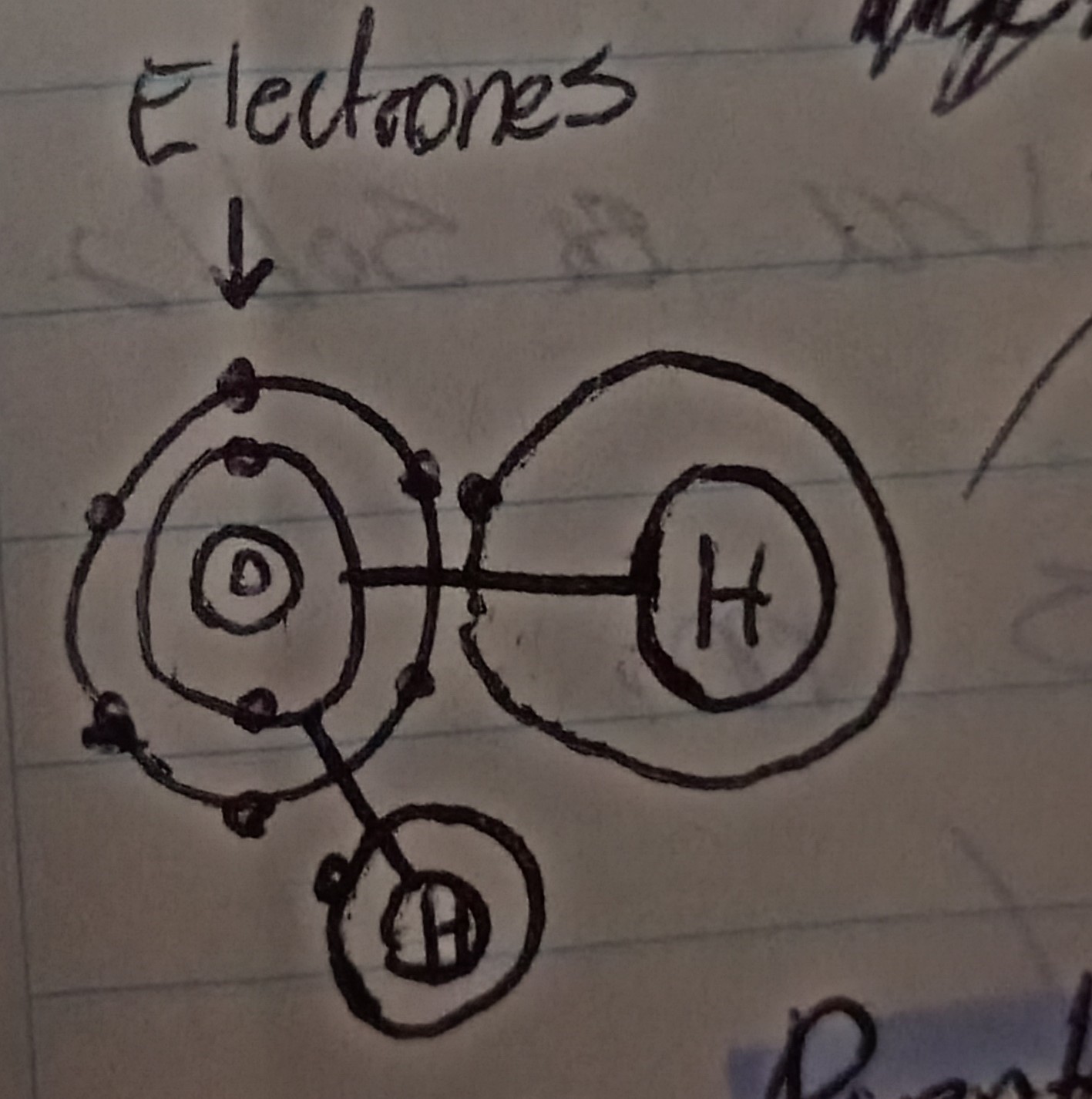 <p>El oxígeno es más o menos electronegativos?</p>