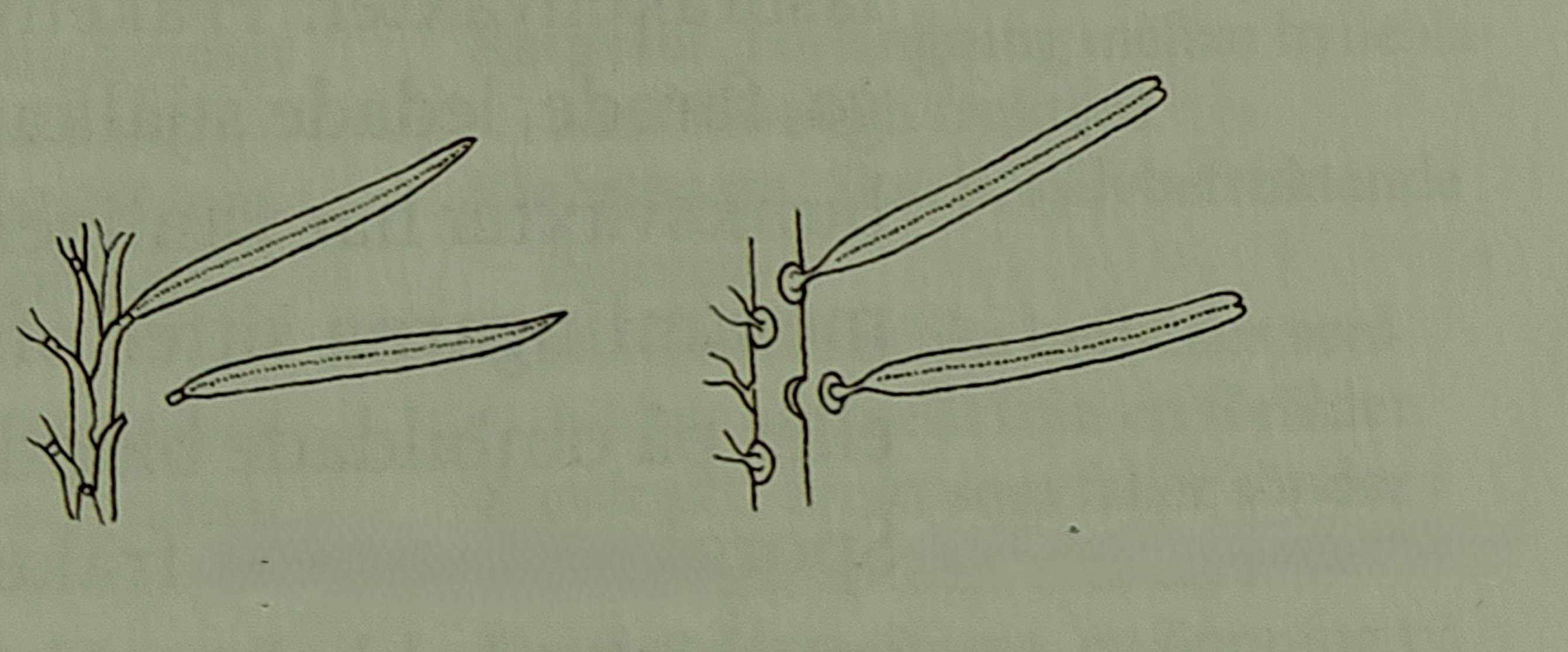 <p></p>