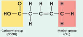 <ul><li><p>each carbon atom not fully saturated with a full quota of hydrogen atoms</p></li><li><p>one double bond between the carbon atoms</p></li><li><p>soft or liquid at room temp</p></li><li><p>low melting point</p></li><li><p>plant and marine sources e.g oleic acid in olive oil</p></li></ul><p></p>