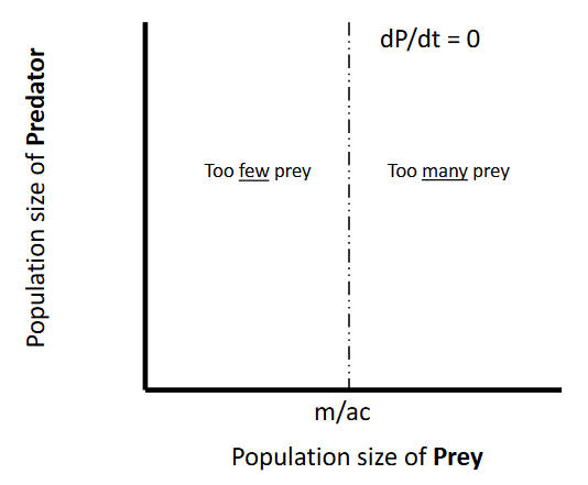 <p><u>Predators</u></p><p>Step 1: Solve Lotka-Volterra equations - one species at a time for solutions at equilibrium (when population size isn’t changing)</p><p>dP/dt = acNP - mP = 0</p><p>acN = m</p><p>N = m/ac</p>