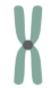 <p>What type of chromosome is this?</p>