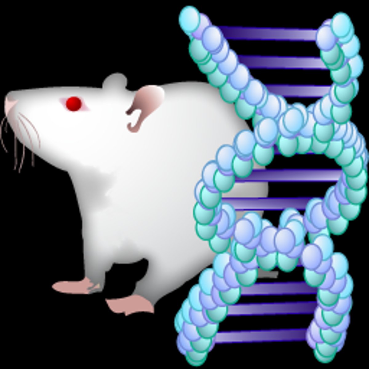 <p>/dʒəˈnetɪk/ (adjective).</p><p>thuộc về di truyền</p><p>Ex: Genetic variations in mushrooms make identification challenging for beginners.</p>